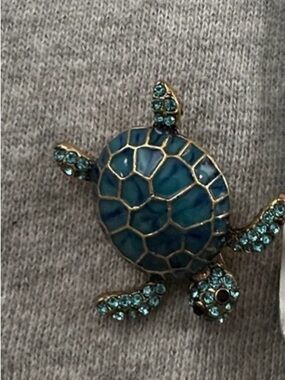Teal Turtle Accent
